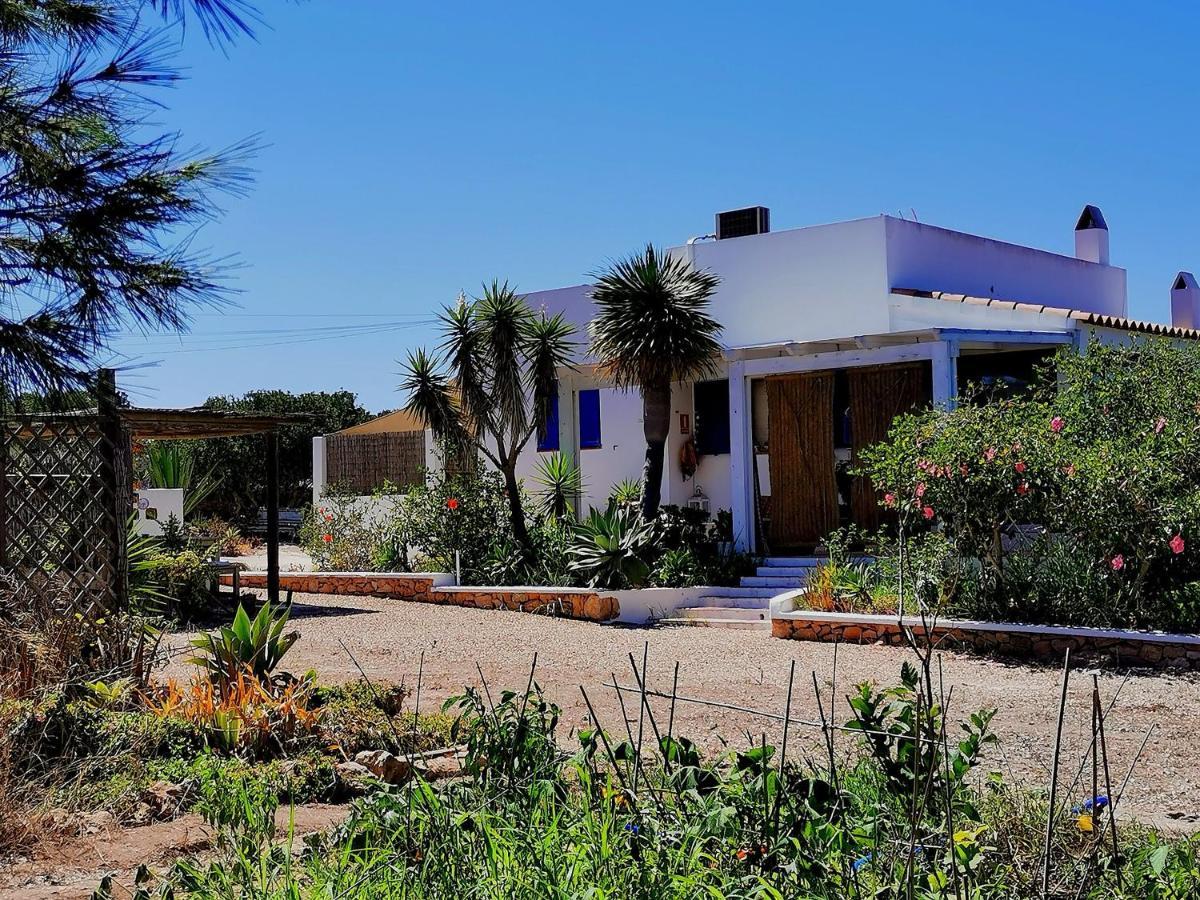 San Francisco Javier Ca N'Antonia Formentera 빌라 외부 사진