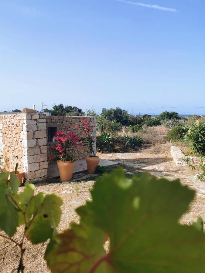 San Francisco Javier Ca N'Antonia Formentera 빌라 외부 사진