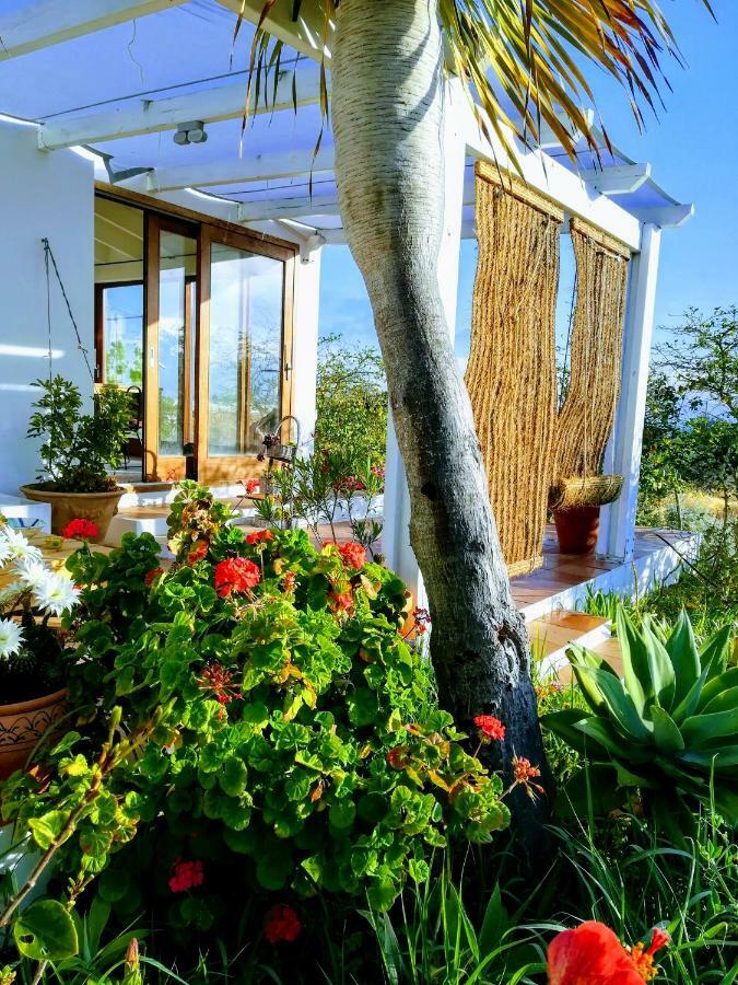 San Francisco Javier Ca N'Antonia Formentera 빌라 외부 사진